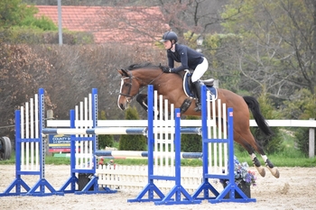 Rachel Vicary reigns in the NAF Five Star Summer Silver League qualifier at Dorset Showground Rachel Vicary reigns in the NAF Five Star Summer Silver League qualifier at Dorset Showground